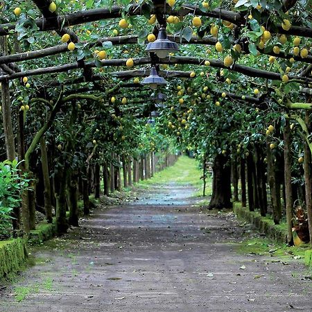 Agriturismo Il Convento マッサ・ルブレンセ エクステリア 写真